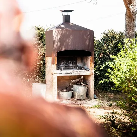 La Maison Des Vendangeurs Hébergement de vacances