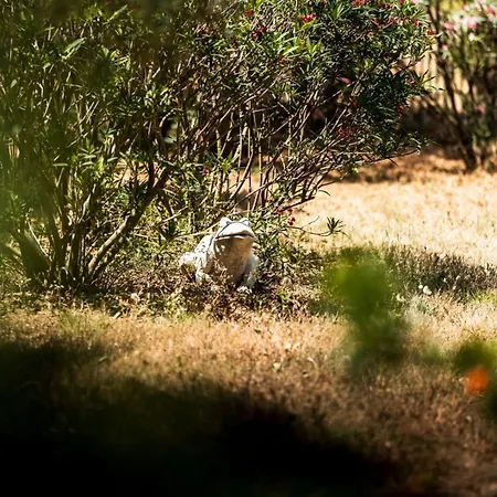 La Maison Des Vendangeurs *