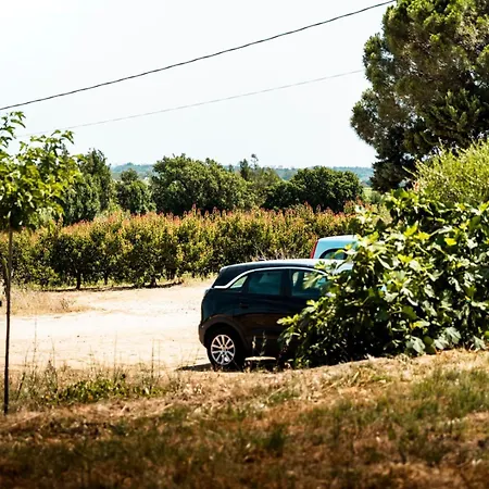La Maison Des Vendangeurs *