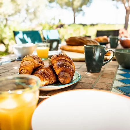 La Maison Des Vendangeurs * Canet-en-Roussillon