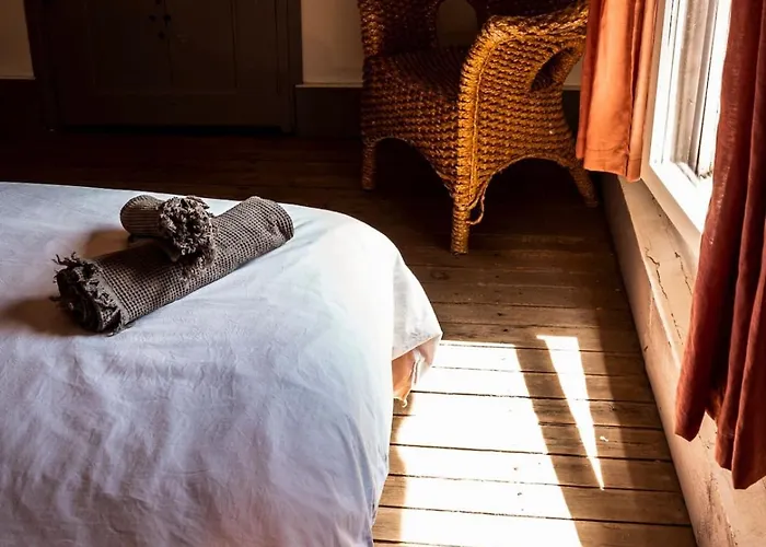 La Maison Des Vendangeurs Hébergement de vacances Canet-en-Roussillon